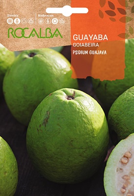 Semilla Guayaba