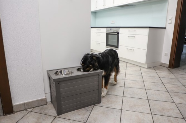 Comedero y Bebedero perros con Deposito