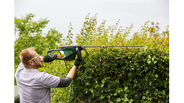 Cortasetos Bosch Advanced Hedgecut 65