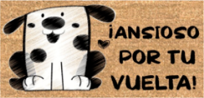 Felpudo Coco 40x70 Ansioso