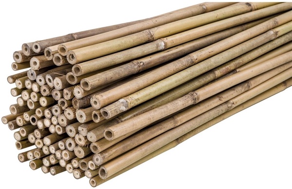 Pack 100 Tutores Bambu 210 cm Grosor 16-18mm