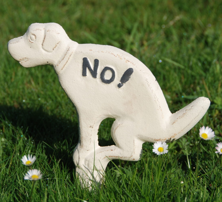 Cartel Prohibido Excremento Perro Dise�o Jardin