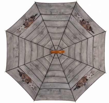 Paraguas Perro y Gato