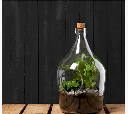 Set Terrario 3L Esschert