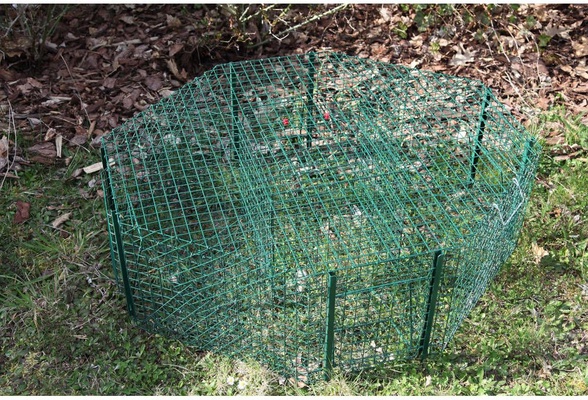 Jaula Captura Urracas Octogonal Pintada