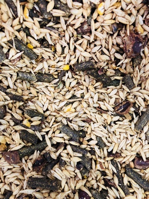 Mix Plata para Caballos 20 kg