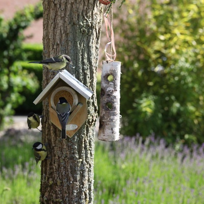 Casa para Mantequilla de Cacachuete