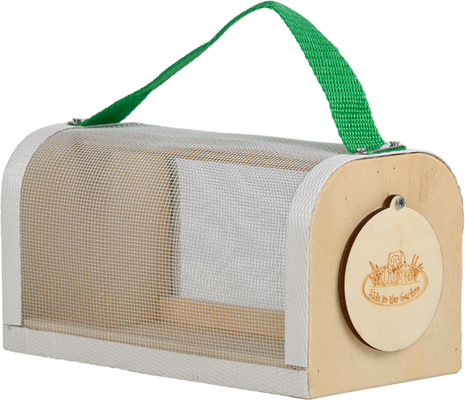 Caja de Madera Estudio Insectos 