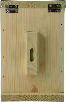 Comedero para Ardillas