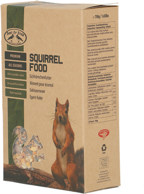 Comida para Ardillas