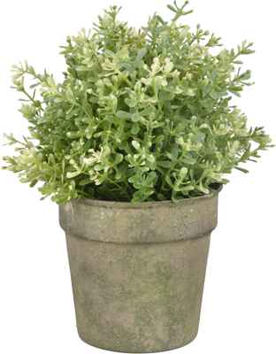 Maceta Metal Vintage Envejecido Verde