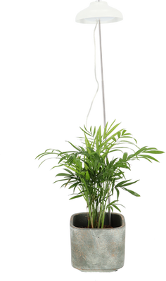 Lampara Cultivo Plantas