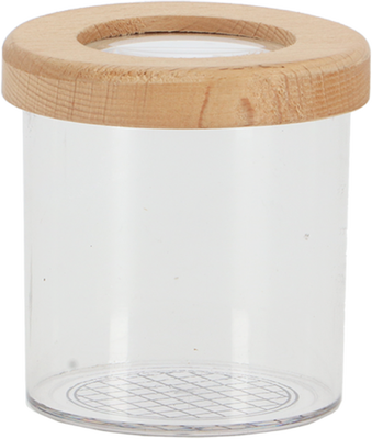 Caja de Estudio de Insectos Madera