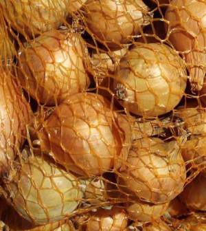 Semilla Bulbo Cebolla Stuttgarter Calibre 14/21 400 Gramos