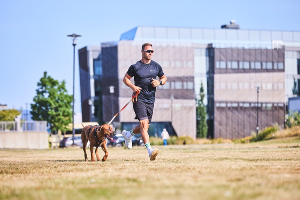 Arnes perros Non-Stop Rock harness