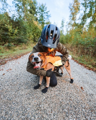 Botines perro Protector Bootie Unisex