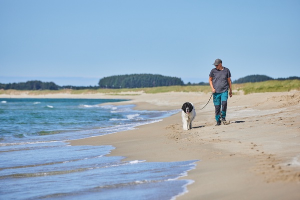 Correa Move Leash Verde