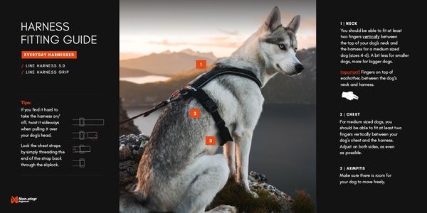 Arnes perro Line Non-stop harness 5.0 negro