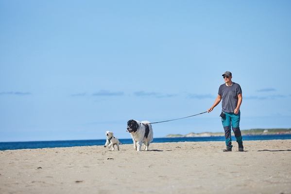 Correa Perros Move Leash Negro Talla 1.5m/15mm