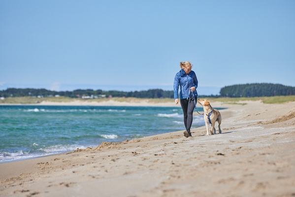 Arnes perro Line harness 5.0 naranja talla 7