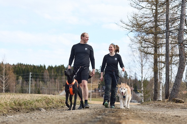 Arnes perro Line harness 5.0 naranja talla 7