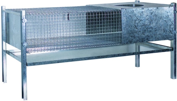 Jaula de Cria para Pollitos y Codornices