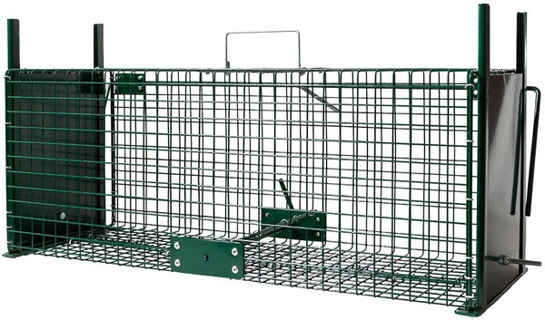 Jaula Trampa 2 Entradas BoxTrap 62 x 21 x 23 cm