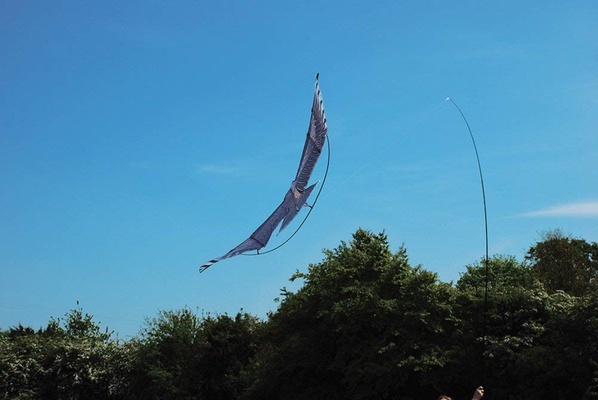 Cometa Espantapajaros Halcon Vela Bikain