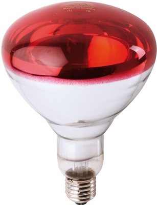 Bombilla Infrarrojos Philips 250 W