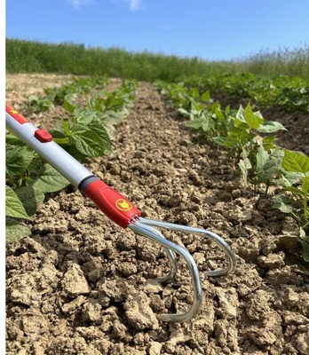 Escarificador-escardador 3 Dientes Outils Wolf Multi-star - Bam