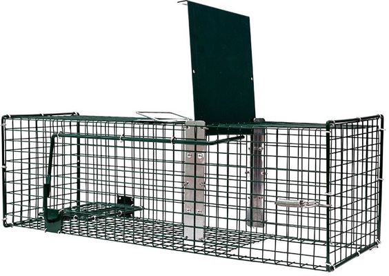 Jaula Trampa 1 Entrada BoxTrap  60x19x19 cm