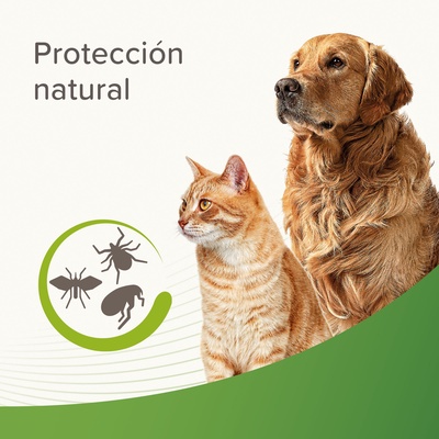 Champu Perros y Gatos Repelente Beaphar 250 ml