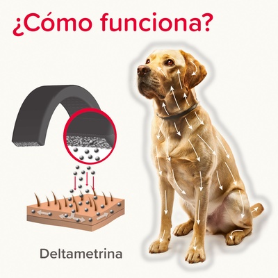 Beaphar Canishield Collar Antiparasitario Perro Grande - 65cm