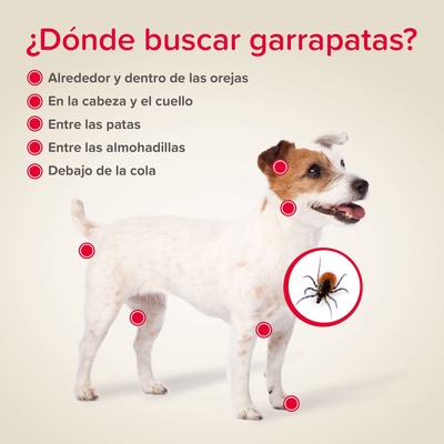 Pack 2 Unidades Canishield Collar Antiparasitario Perro Peque�o y Mediano - 48 cm