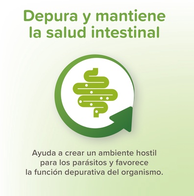 VERMIpure Comprimidos Naturales Perros Peque�os 50 comprimidos