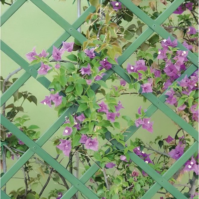 Celosia Extensible PVC Verde 1 x 4 Metros