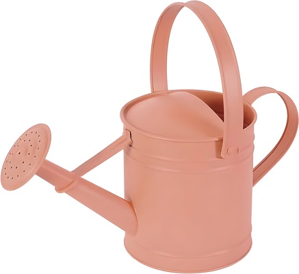 Regadera Metalica Naranja 3 Lts