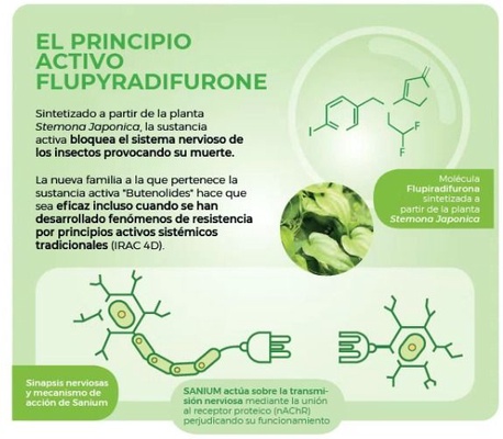 Insecticida Sistemico Sanium 100 Ml