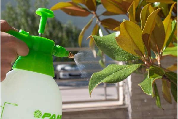 Pulverizador Pamex 2 L