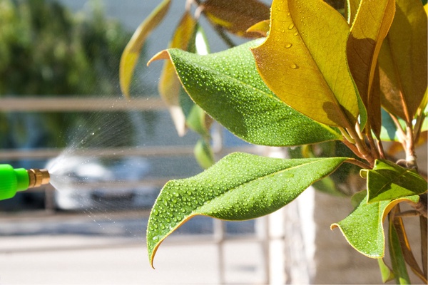 Pulverizador Pamex 2 L