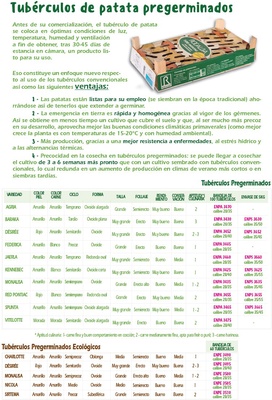Bandeja Patata de Siembra Panamera 100 unidades