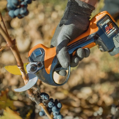 Tijera Poda Bateria Altuna AB36 Titanio 