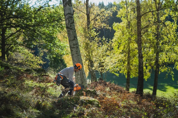Motosierra Gasolina Husqvarna 450S